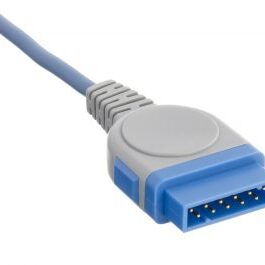 Solaris 061 2 GE equipment plug blue cable 324x265 1.jpg